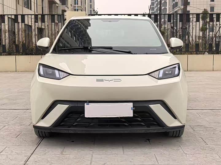 Фото 2 - BYD Seagull