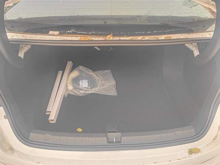 Фото 4 - BYD Qin Plus