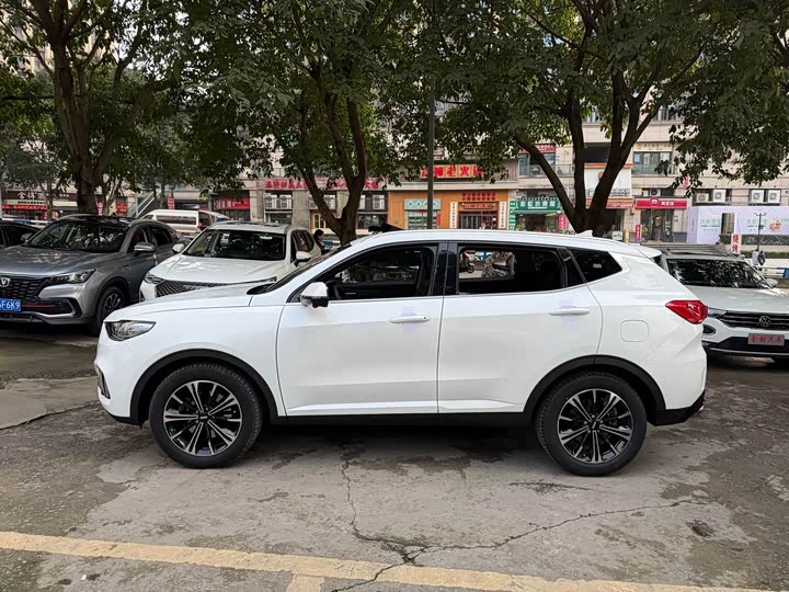 Фото 3 - Wey VV6