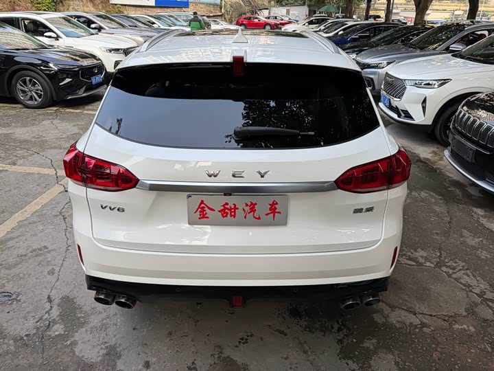 Фото 4 - Wey VV6