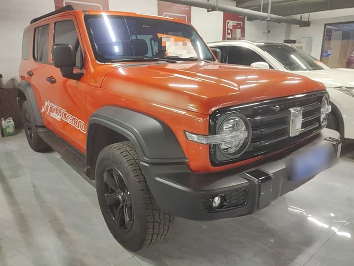 Фото 4 - Tank 300