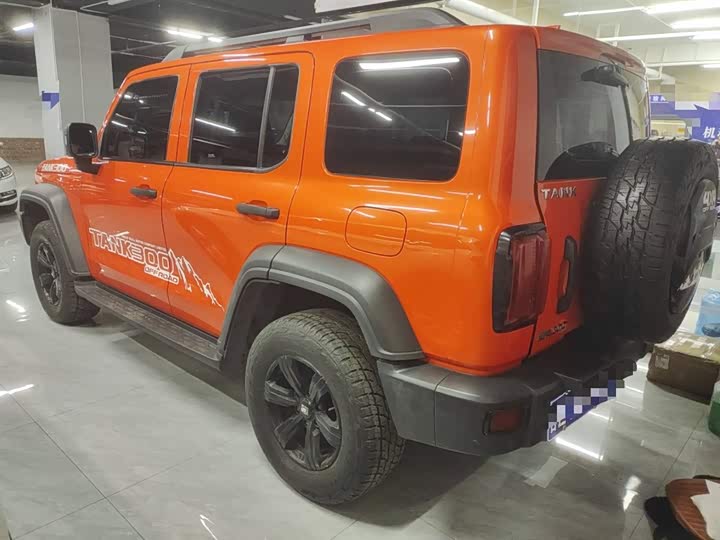 Фото 5 - Tank 300