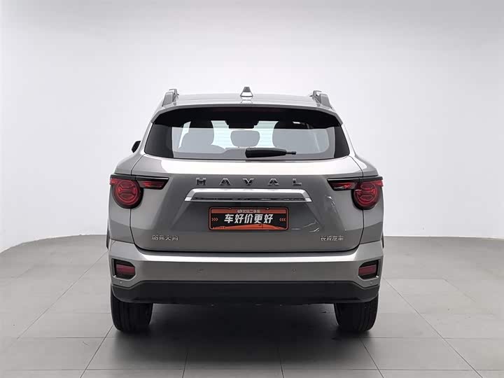 Фото 4 - Haval H-Dog