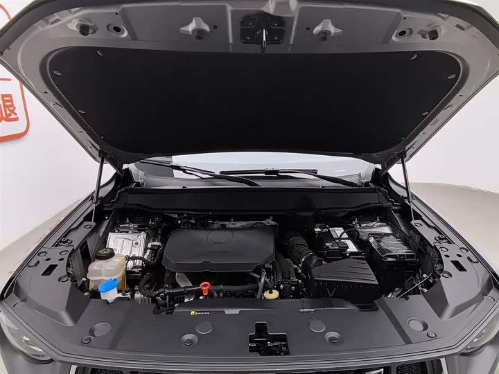 Фото 6 - Haval H-Dog