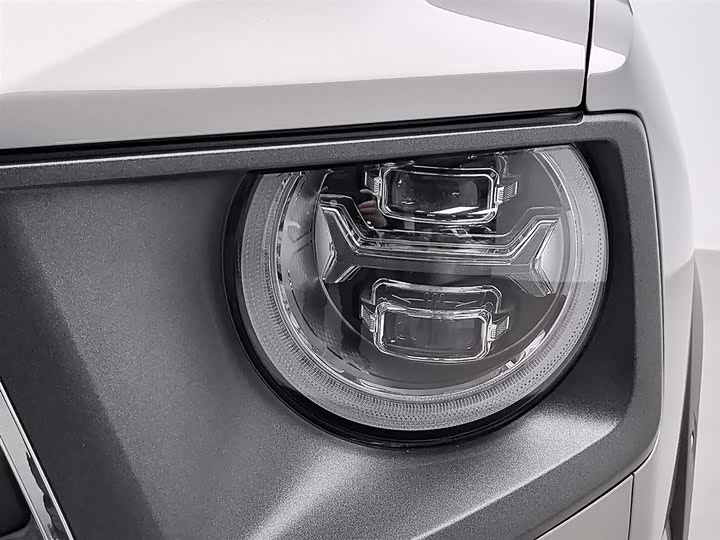 Фото 7 - Haval H-Dog