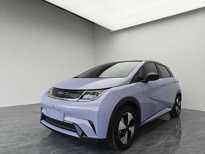 Фото 1 - BYD Dolphin