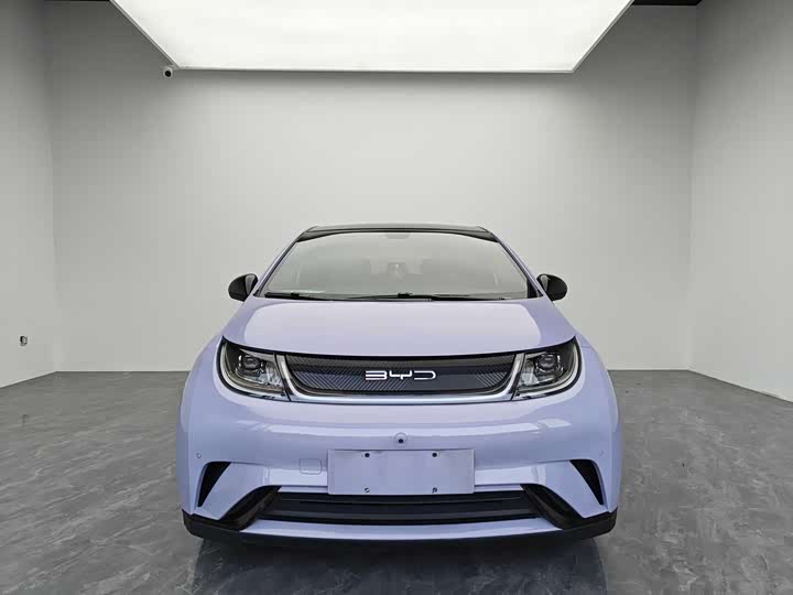 Фото 2 - BYD Dolphin