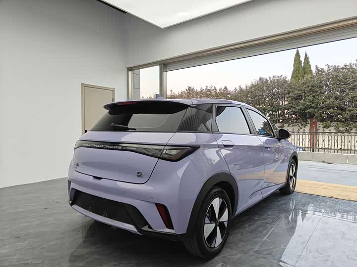 Фото 5 - BYD Dolphin