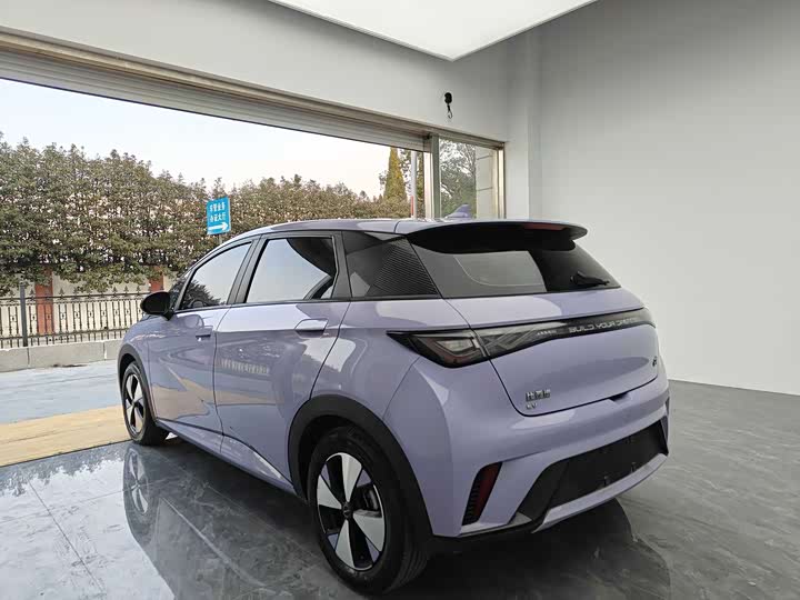 Фото 6 - BYD Dolphin