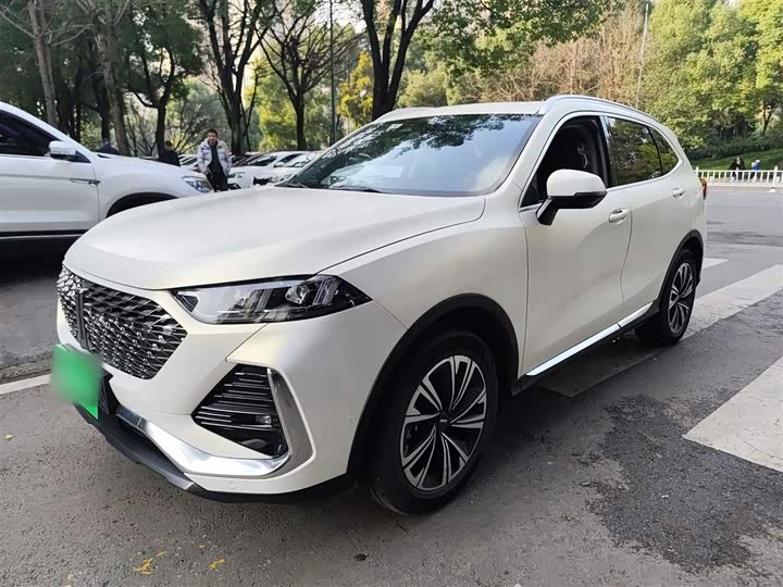 Фото 1 - Wey Latte DHT