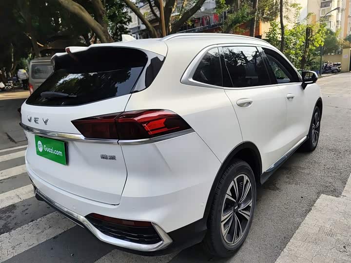 Фото 7 - Wey Latte DHT