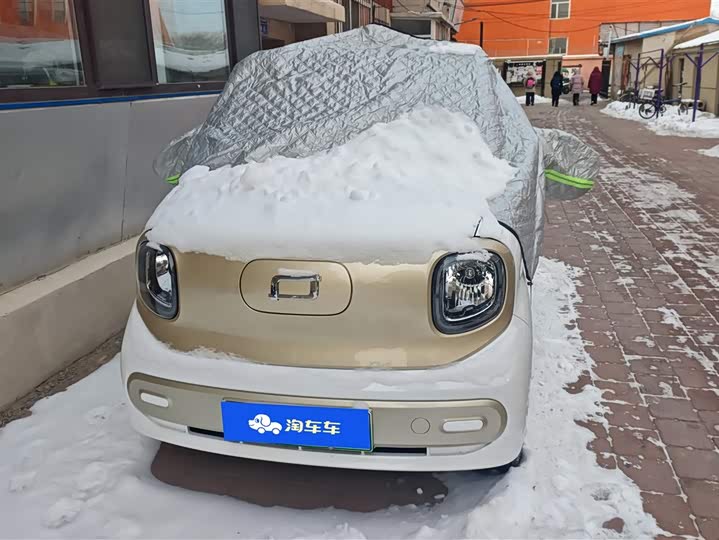 Фото 2 - Bestune Pony