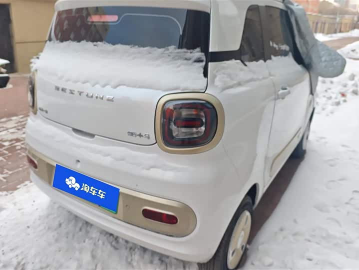 Фото 3 - Bestune Pony