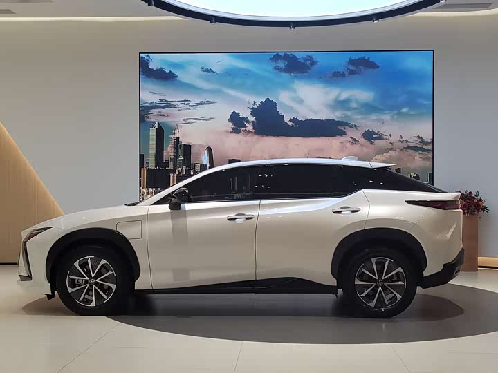 Фото 4 - Lexus RZ