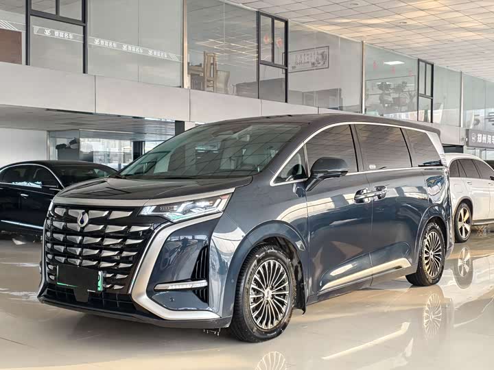 Фото 1 - Denza D9