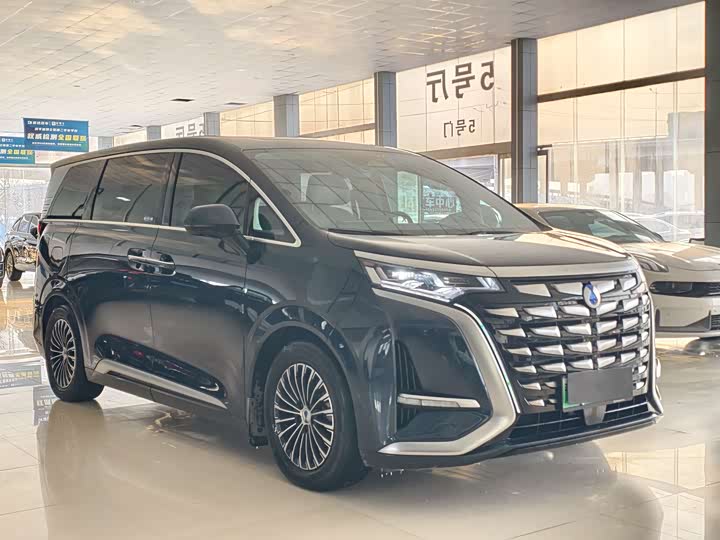 Фото 3 - Denza D9