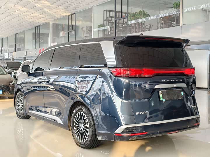 Фото 4 - Denza D9