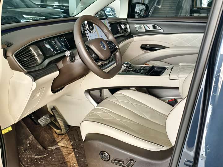 Фото 9 - Denza D9