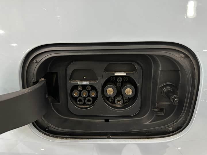 Фото 8 - BAIC Arcfox Kaola S