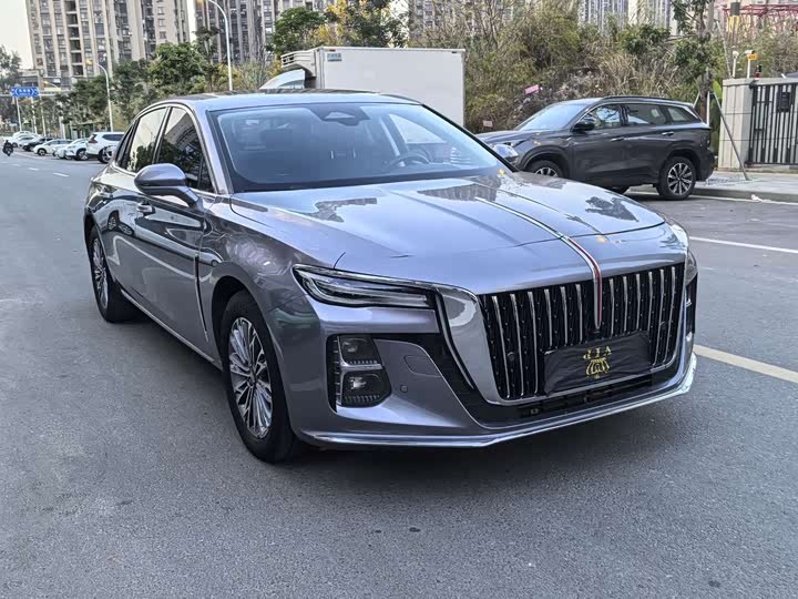 Фото 3 - Hongqi H5