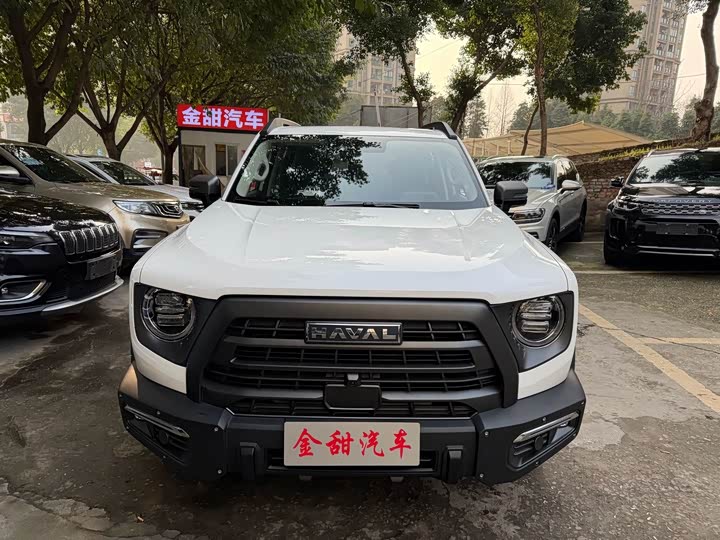 Фото 2 - Haval Dargo