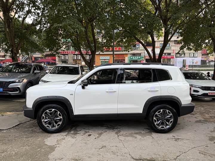 Фото 3 - Haval Dargo