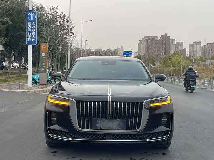 Фото 2 - Hongqi H9