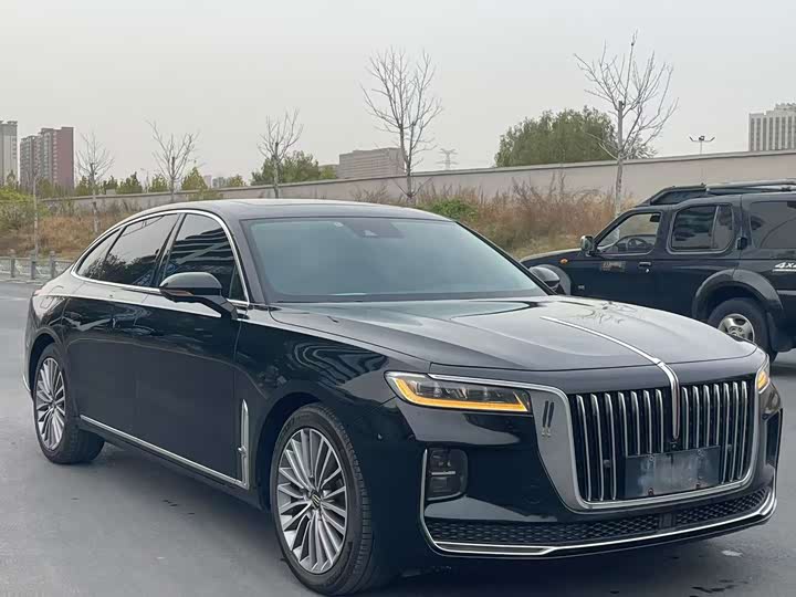 Фото 3 - Hongqi H9