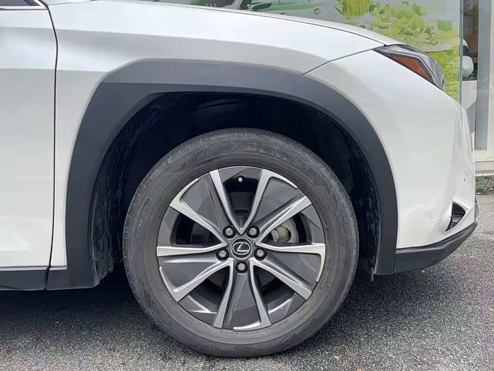 Фото 8 - Lexus UX Hybrid