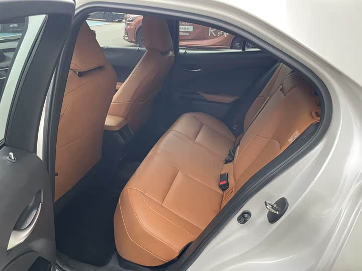 Фото 9 - Lexus UX Hybrid