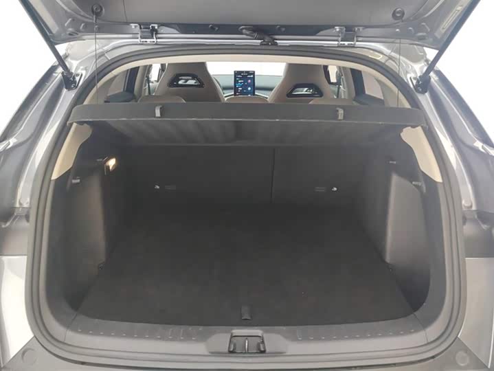 Фото 4 - BYD Yuan Plus