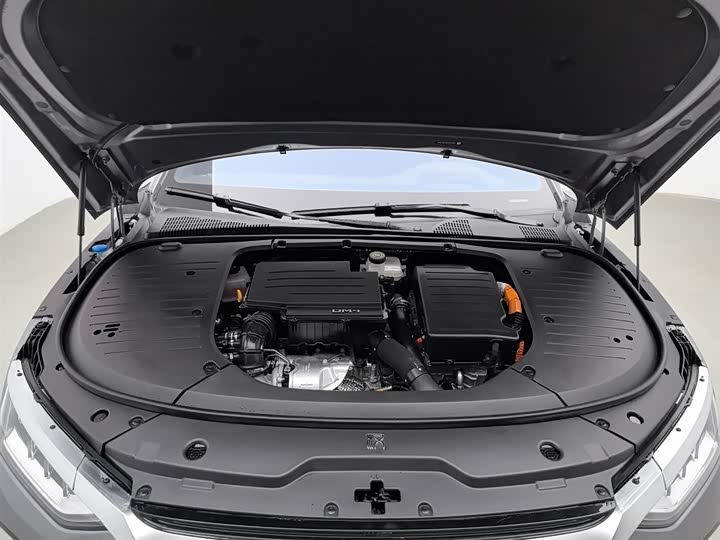 Фото 6 - BYD Han