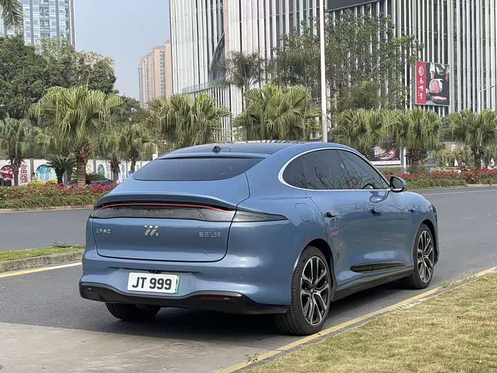 Фото 6 - IM motors LS6