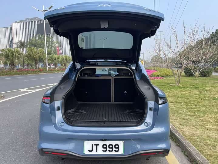 Фото 8 - IM motors LS6