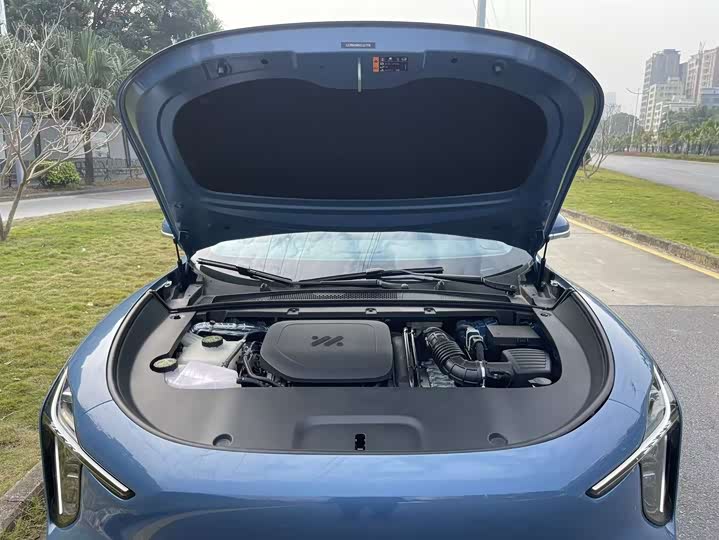 Фото 9 - IM motors LS6