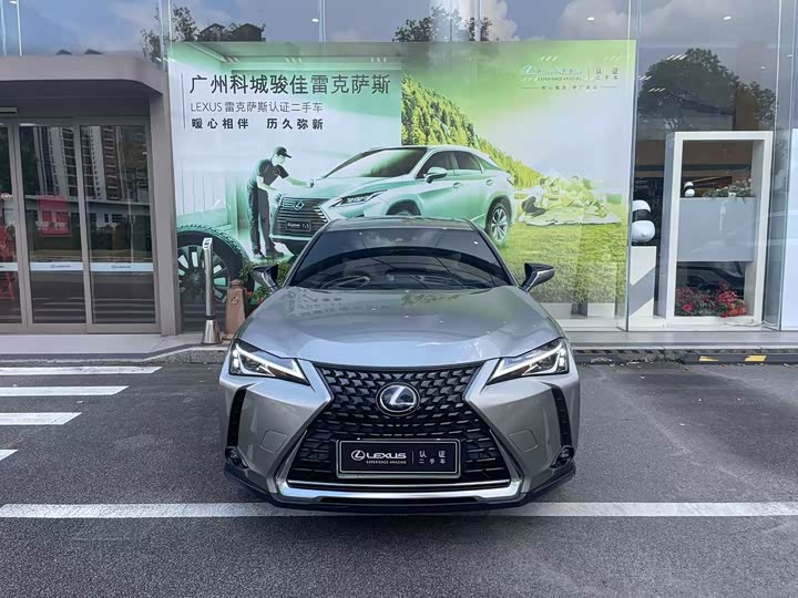 Фото 1 - Lexus UX Hybrid