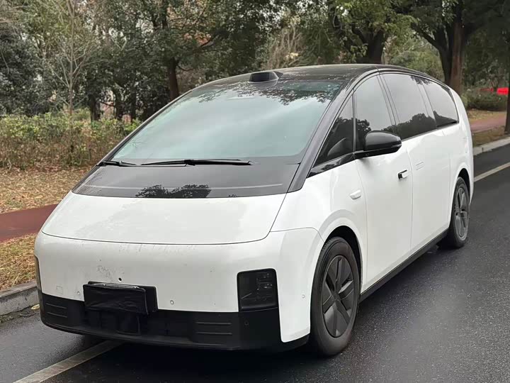 Фото 1 - LiXiang Mega