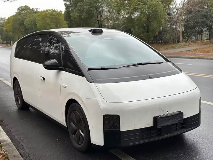 Фото 2 - LiXiang Mega