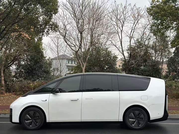 Фото 3 - LiXiang Mega