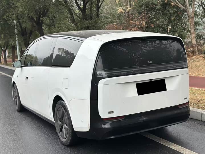 Фото 4 - LiXiang Mega