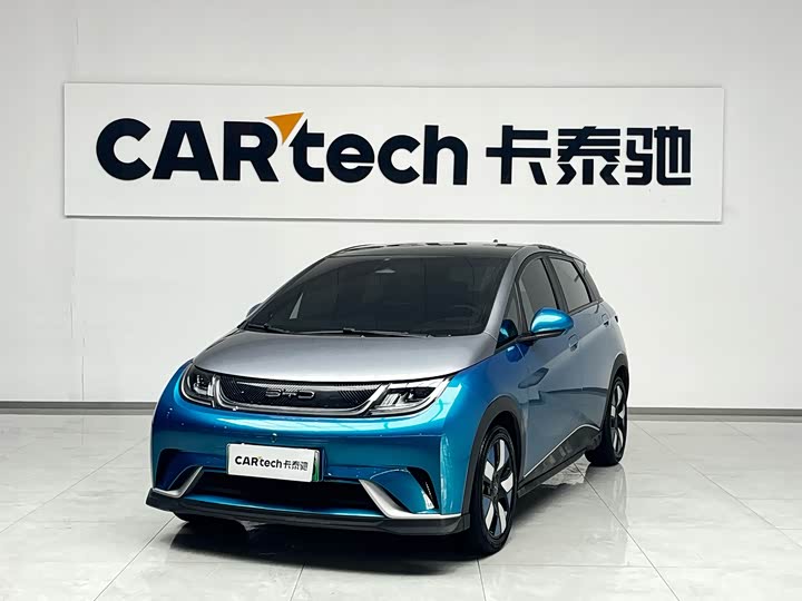 Фото 1 - BYD Dolphin