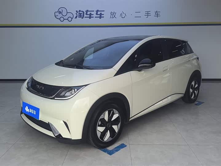 Фото 1 - BYD Dolphin