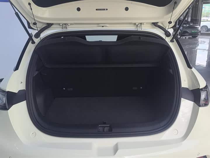 Фото 4 - BYD Dolphin