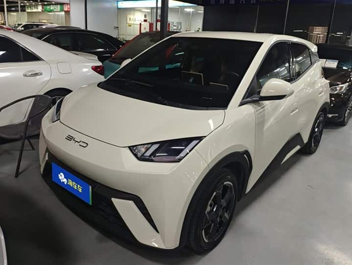 Фото 1 - BYD Seagull