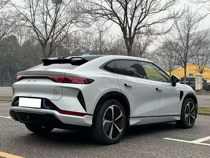 Фото 7 - BYD Song L