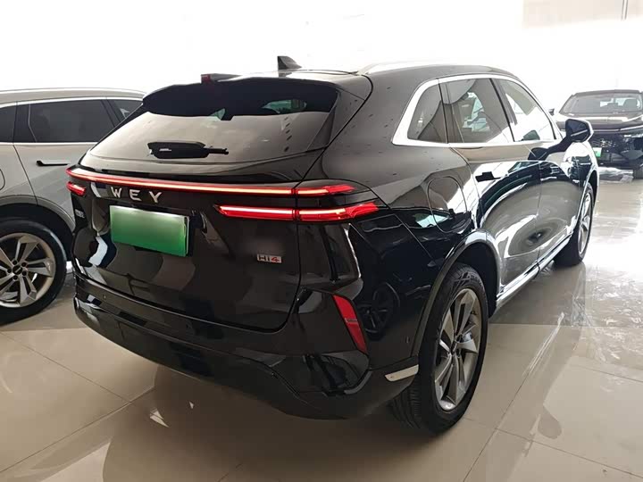 Фото 7 - Wey Mocca Hybrid