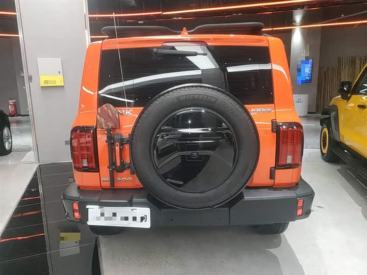 Фото 6 - Tank 300