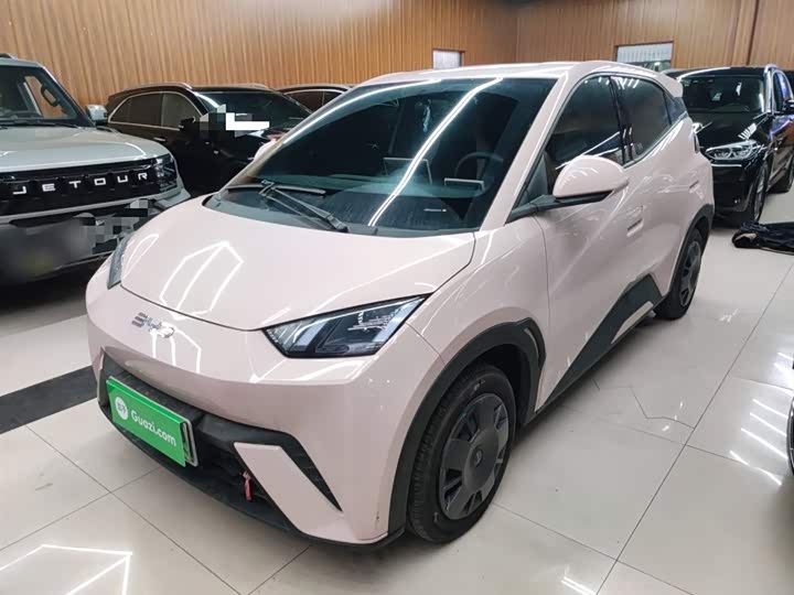 Фото 1 - BYD Seagull