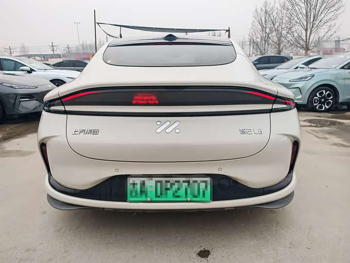 Фото 5 - IM motors L6