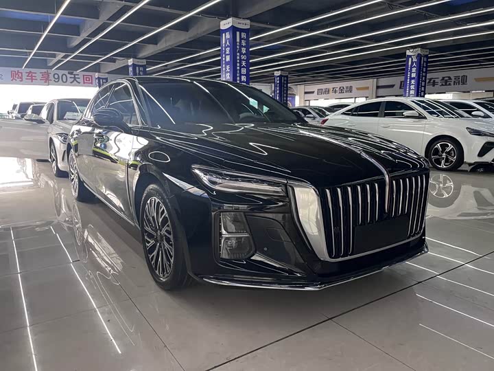 Фото 3 - Hongqi H5